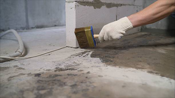 24/7 Emergency Wet Basement Repair experts in Edinburgh, IN
